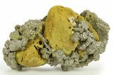 Golden Pyrite on Limonite Clay - Pakistan #283741-1